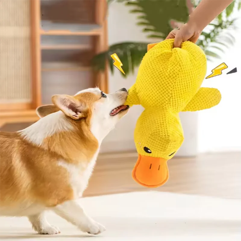 Jouet en peluche pour chien Canard résistant à la mastication, durable, avec son de canard, soulage le grincement des dents, compagnon doux pour petit et grand chien