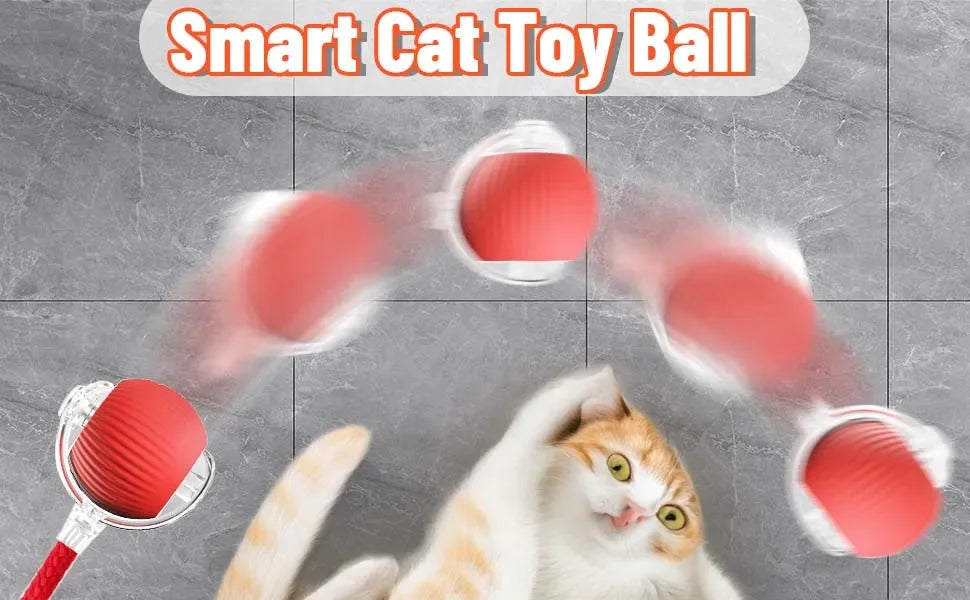iLMH 1/2 PCS Jouet pour chat Balle interactive Balle roulante automatique Queue artificielle Jouet électrique intelligent rechargeable pour animaux de compagnie Jouet pour animaux de compagnie Imitation souris