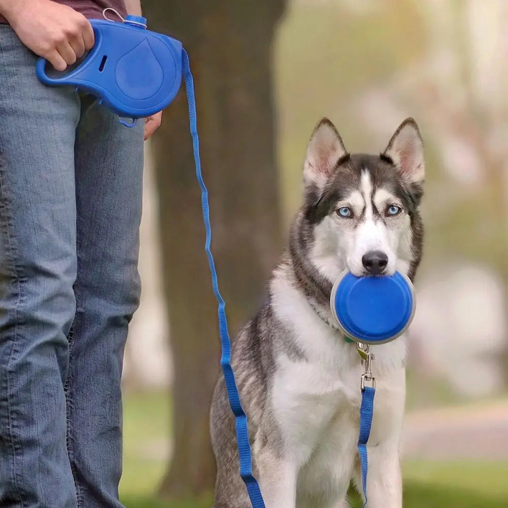 Laisse pour chien rétractable détachable en plastique avec bouteille d'eau intégrée, corde de traction pour chien avec gamelle et conteneur pour sacs à déjections, pour l'entraînement