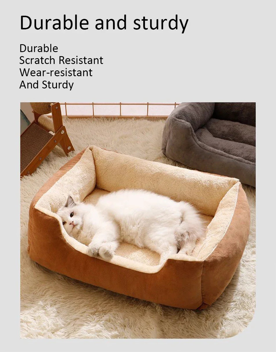 Lit pour chats, produits pour animaux de compagnie, coussins, articles pour chatons, accessoires pour chiens, toutes fournitures pour maisons, accessoires, habitats, panier, maison, lits