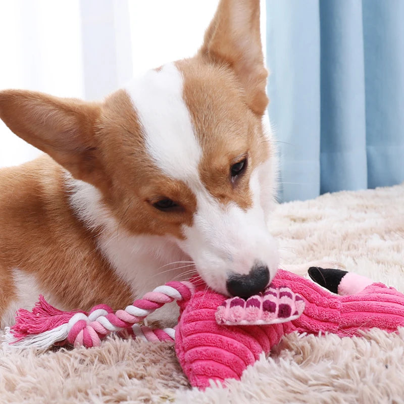 Jouets couineurs en forme d'animaux, jouets en peluche pour chiens, jouets mignons en velours côtelé résistants aux morsures pour petits et grands chiens, accessoires pour chiots et animaux de compagnie