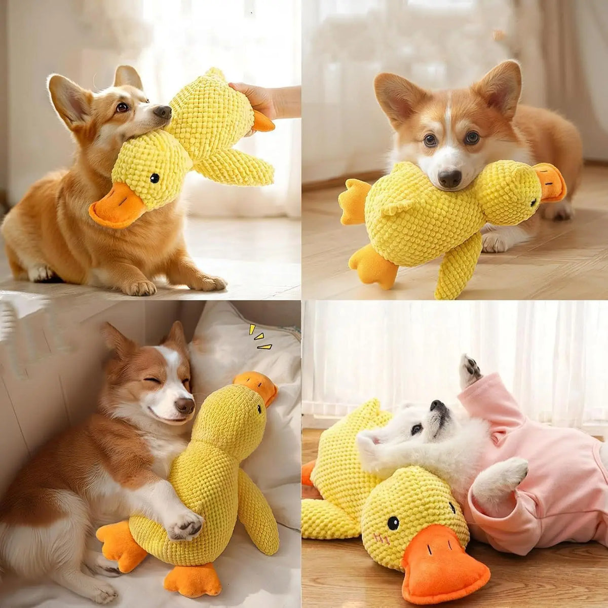 Jouet en peluche pour chien Canard résistant à la mastication, durable, avec son de canard, soulage le grincement des dents, compagnon doux pour petit et grand chien