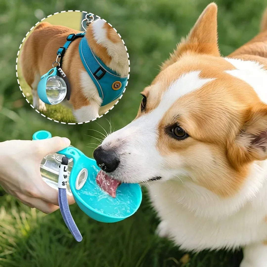 Bouteille d'eau 2-en-1 portable pour chiens avec écuelle pliable intégrée, idéale pour les promenades en extérieur, la randonnée, les voyages, hydratation compacte
