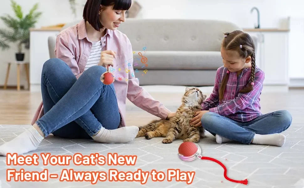 iLMH 1/2 PCS Jouet pour chat Balle interactive Balle roulante automatique Queue artificielle Jouet électrique intelligent rechargeable pour animaux de compagnie Jouet pour animaux de compagnie Imitation souris