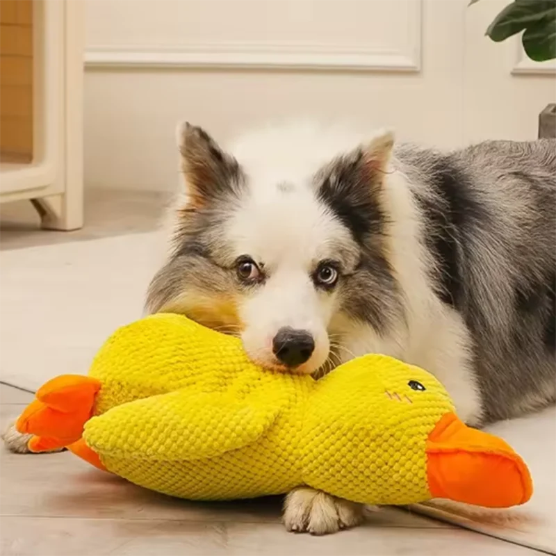 Jouet en peluche pour chien Canard résistant à la mastication, durable, avec son de canard, soulage le grincement des dents, compagnon doux pour petit et grand chien