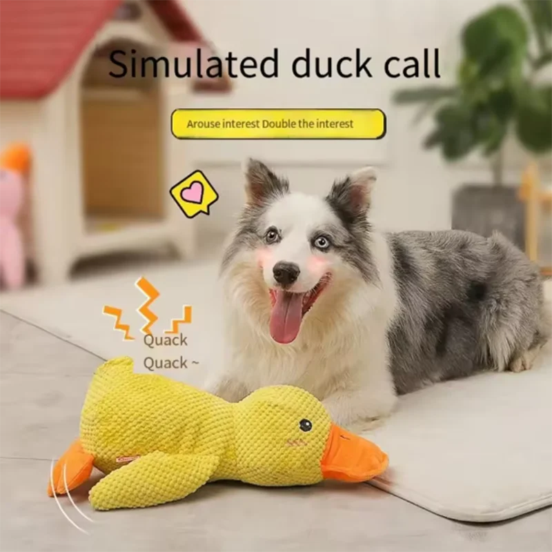 Jouet en peluche pour chien Canard résistant à la mastication, durable, avec son de canard, soulage le grincement des dents, compagnon doux pour petit et grand chien