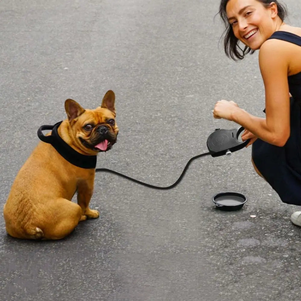 Laisse pour chien rétractable détachable en plastique avec bouteille d'eau intégrée, corde de traction pour chien avec gamelle et conteneur pour sacs à déjections, pour l'entraînement