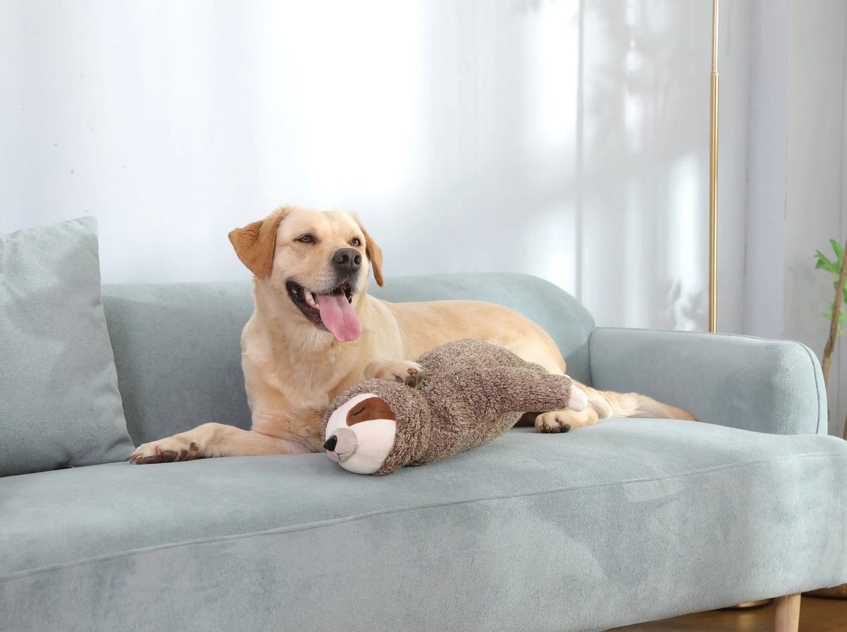 Cadeau de Noël pour chien, jouet pour chiot paresseux avec battement de cœur pour soulager le stress, apaiser et aider au sommeil, jouets pour l'entraînement en cage des chiots