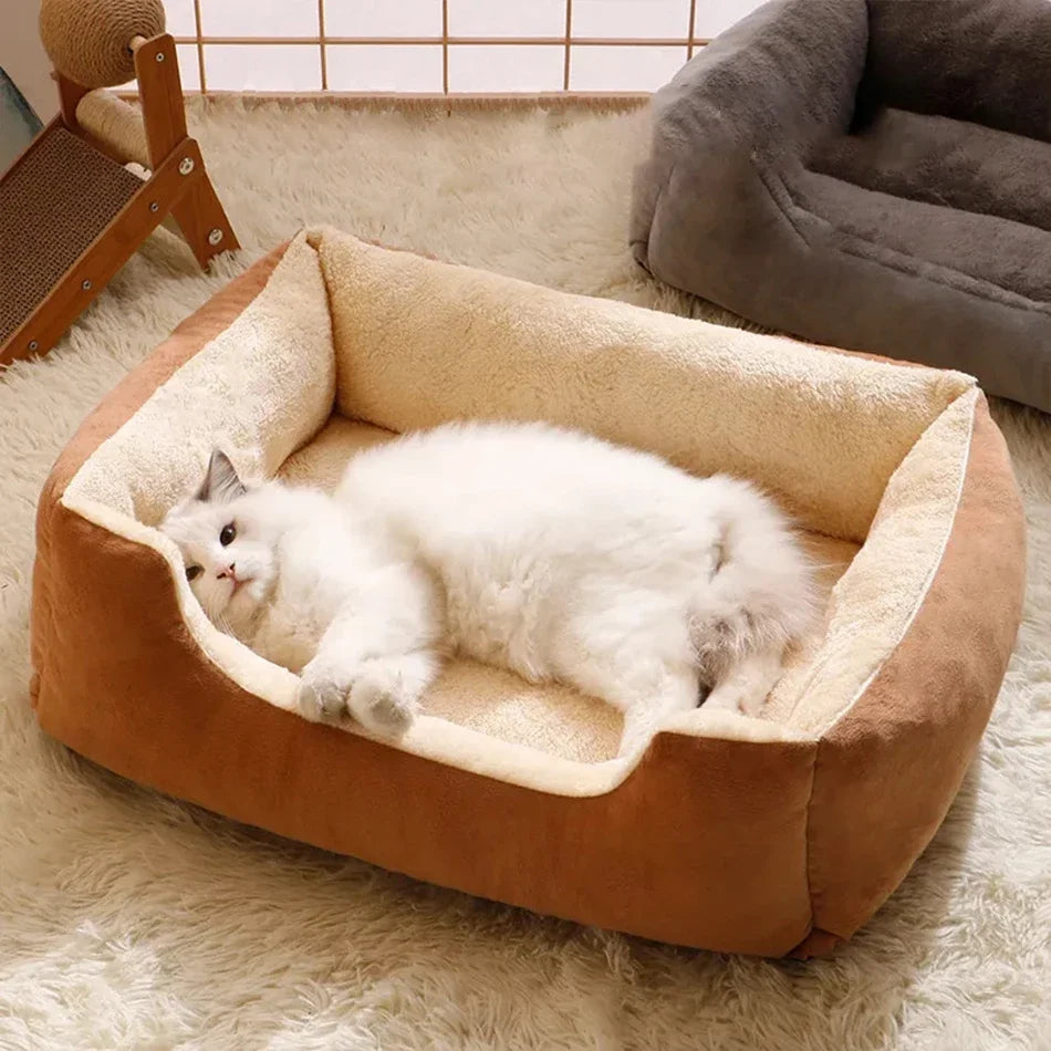 Lit pour chats, produits pour animaux de compagnie, coussins, articles pour chatons, accessoires pour chiens, toutes fournitures pour maisons, accessoires, habitats, panier, maison, lits