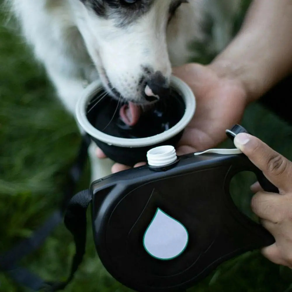 Laisse pour chien rétractable détachable en plastique avec bouteille d'eau intégrée, corde de traction pour chien avec gamelle et conteneur pour sacs à déjections, pour l'entraînement