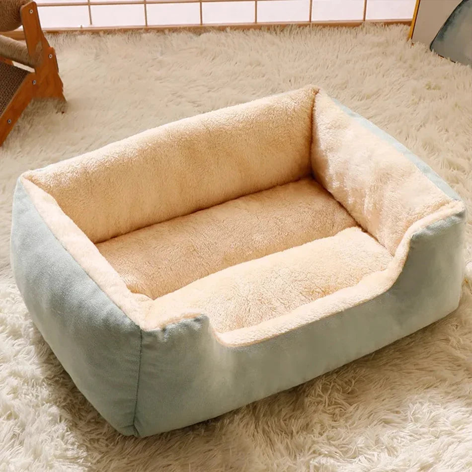 Lit pour chats, produits pour animaux de compagnie, coussins, articles pour chatons, accessoires pour chiens, toutes fournitures pour maisons, accessoires, habitats, panier, maison, lits