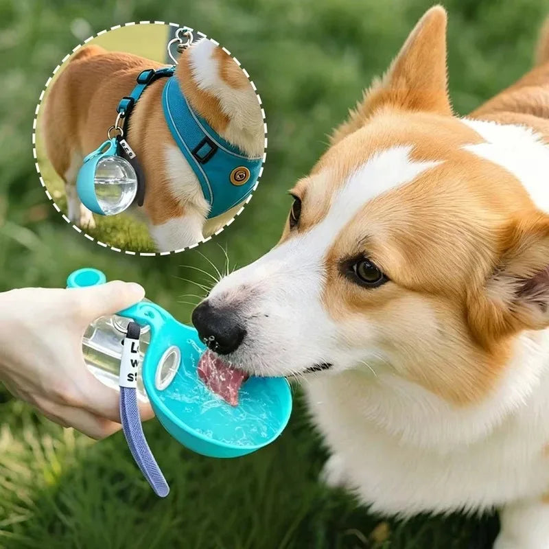 Bouteille d'eau 2-en-1 portable pour chiens avec écuelle pliable intégrée, idéale pour les promenades en extérieur, la randonnée, les voyages, hydratation compacte