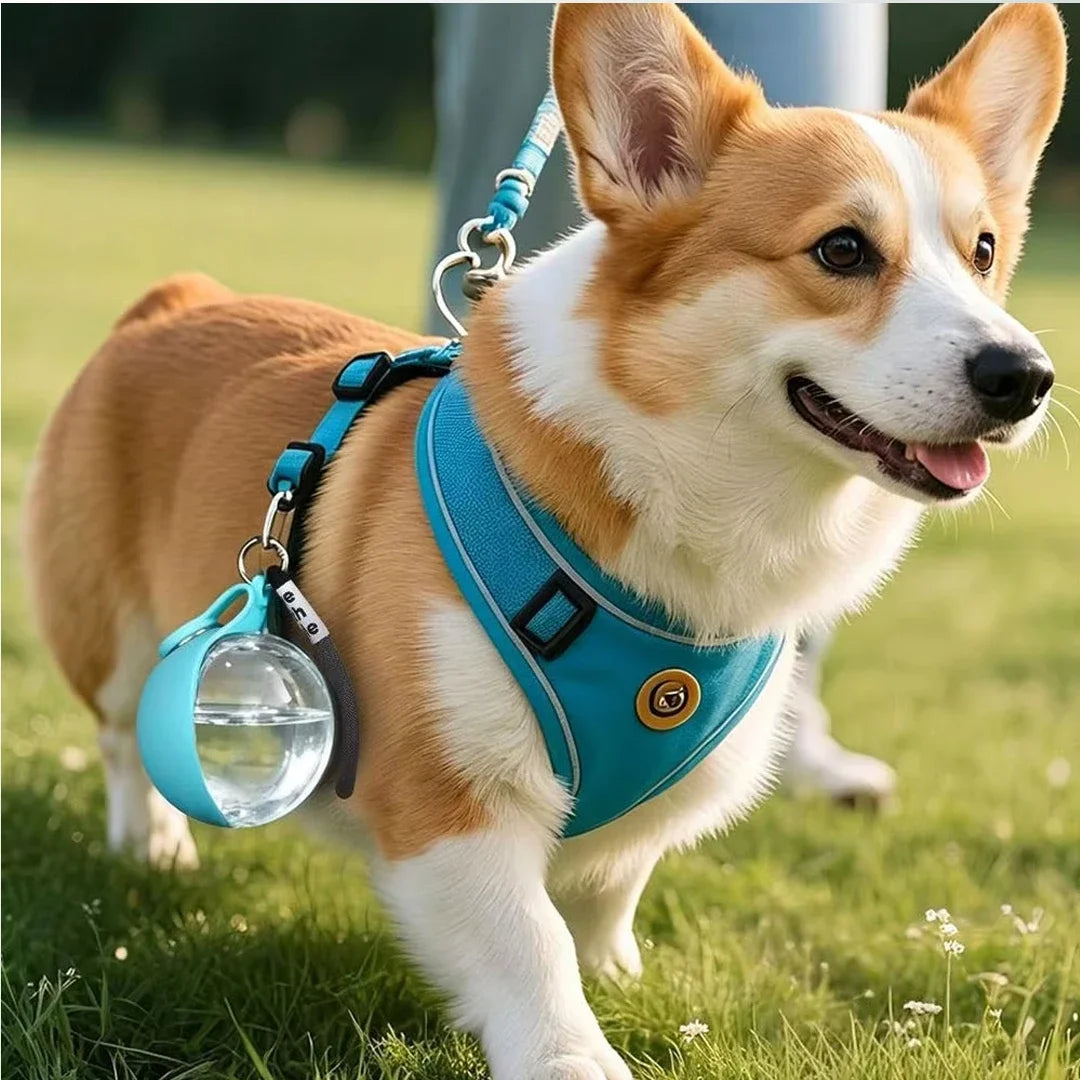 Bouteille d'eau 2-en-1 portable pour chiens avec écuelle pliable intégrée, idéale pour les promenades en extérieur, la randonnée, les voyages, hydratation compacte